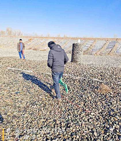 雙電極檢測方法